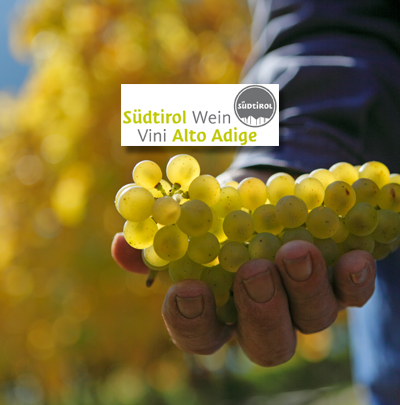 La viticoltura in Alto Adige