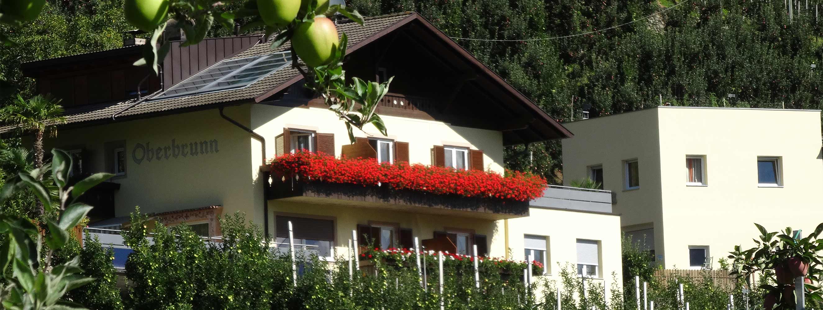 Ferienwohnung Gartenrose - Oberbrunnhof